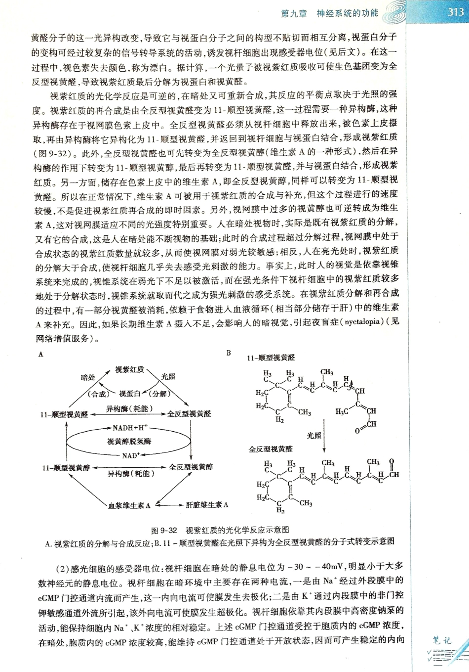 生理学（第八版）_321-328.pdf_第1页