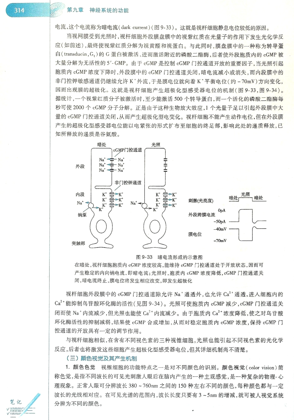 生理学（第八版）_321-328.pdf_第2页