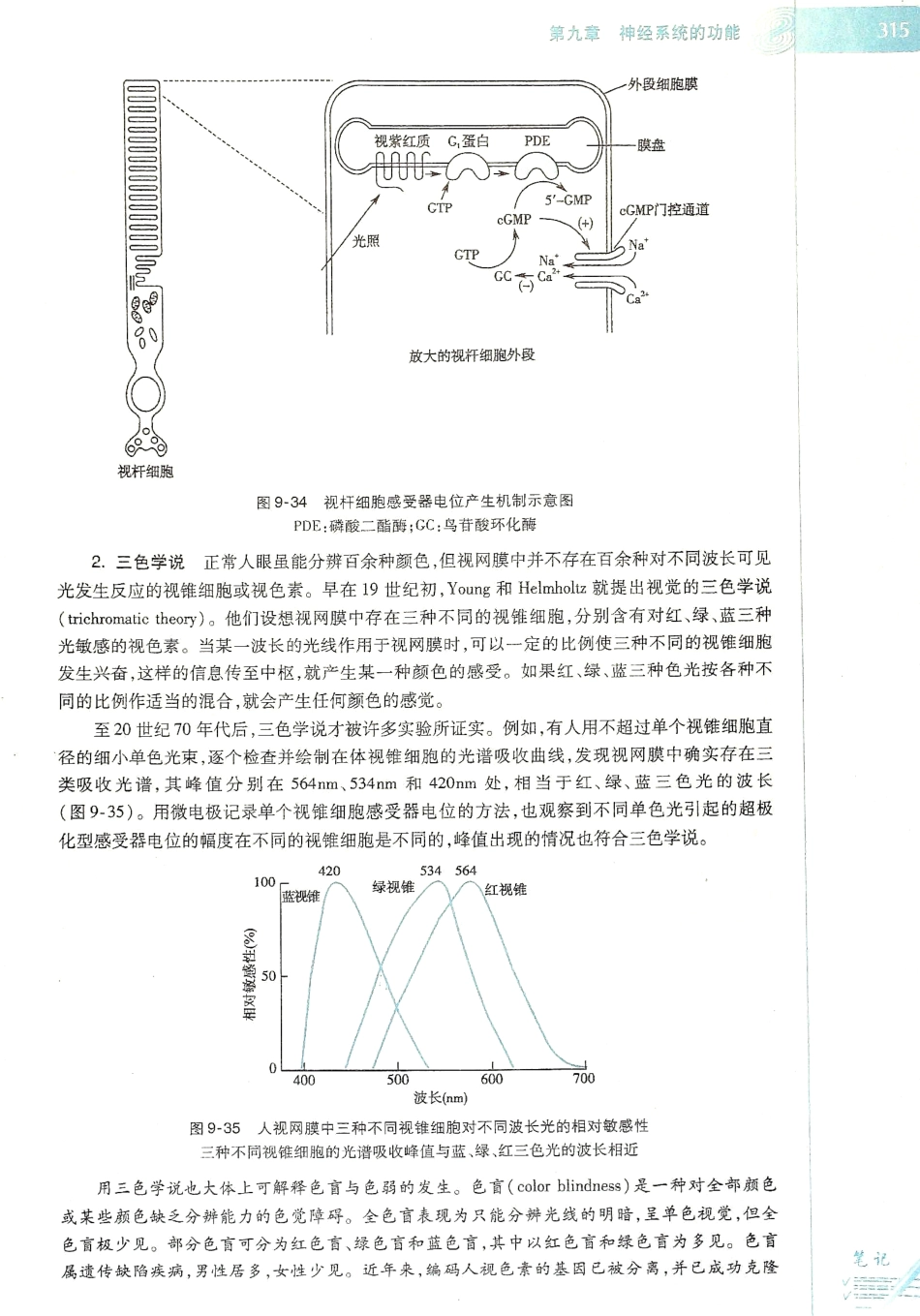 生理学（第八版）_321-328.pdf_第3页