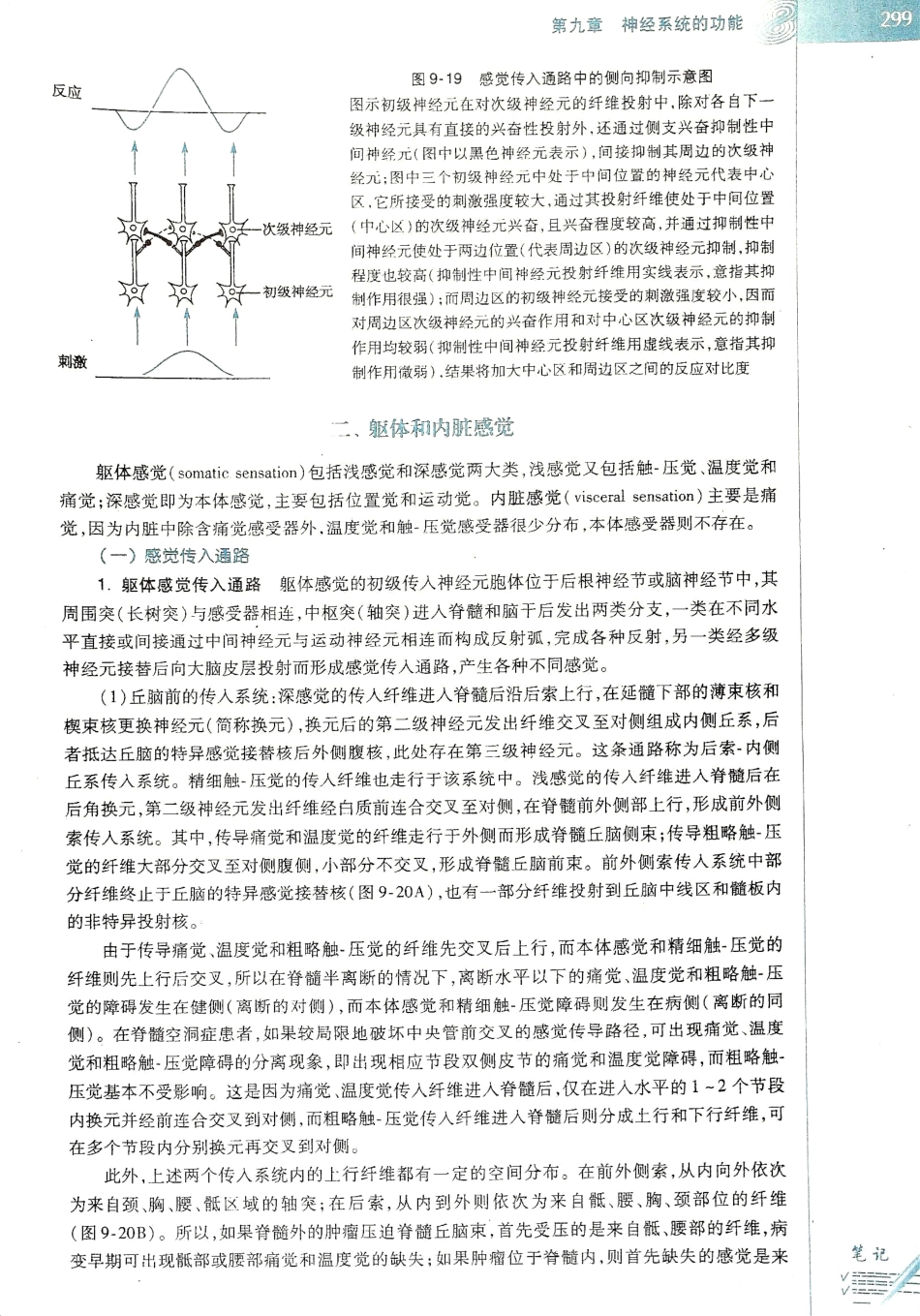 生理学（第八版）_305-312.pdf_第3页
