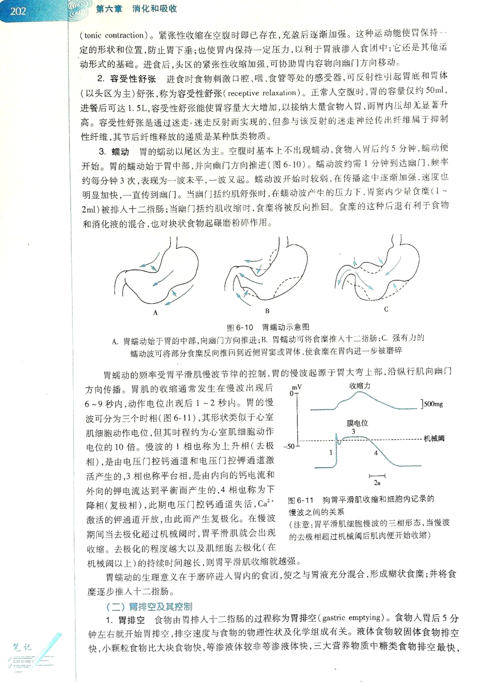 生理学（第八版）_209-216.pdf_第2页