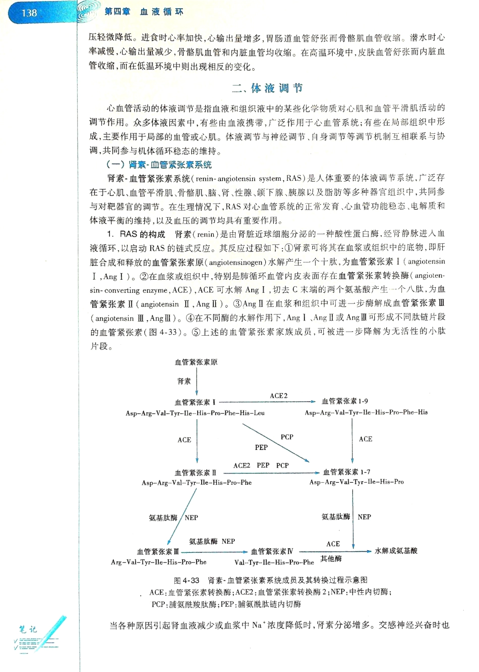 生理学（第八版）_145-152.pdf_第2页
