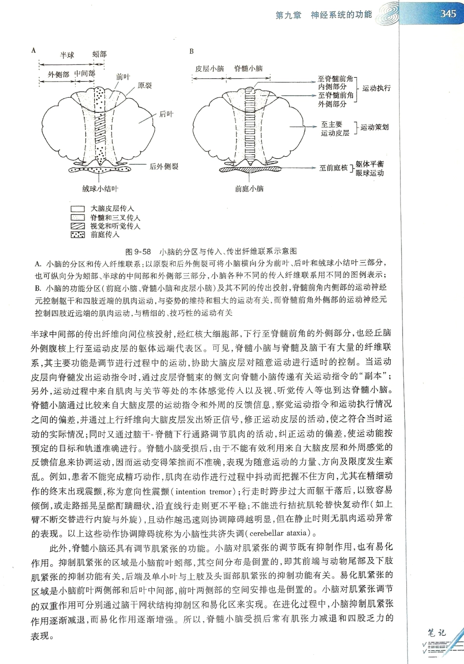 生理学（第八版）_353-360.pdf_第1页