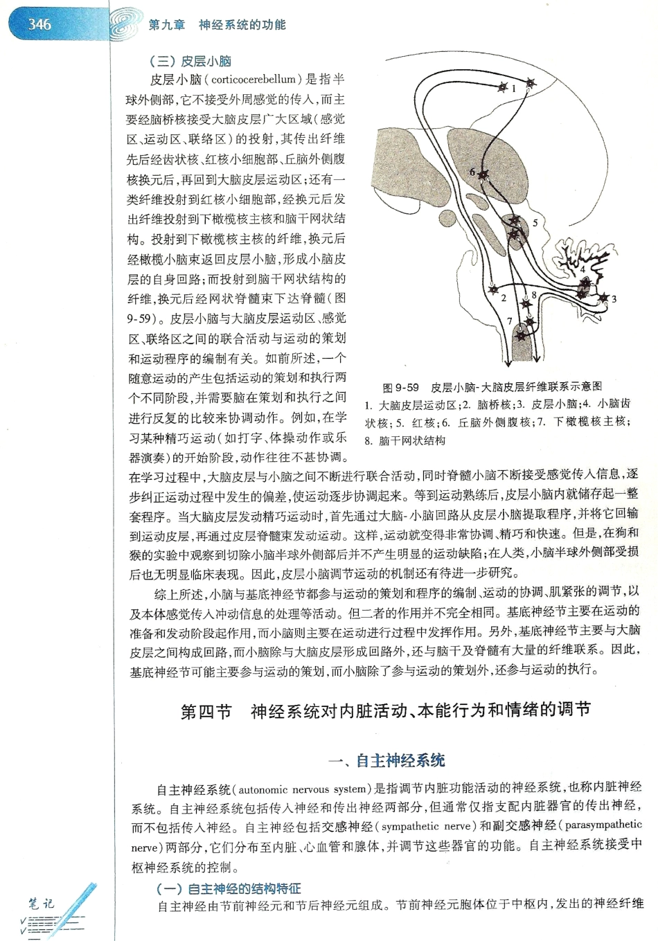 生理学（第八版）_353-360.pdf_第2页