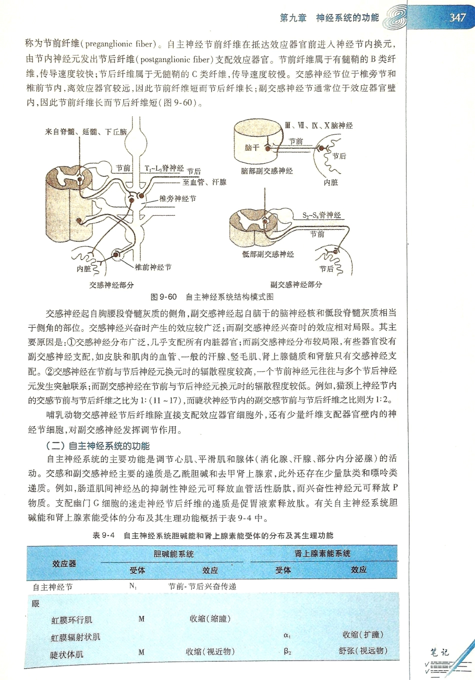 生理学（第八版）_353-360.pdf_第3页