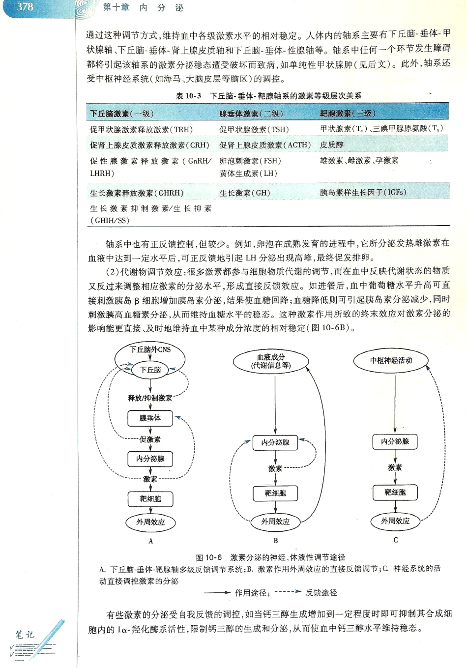 生理学（第八版）_385-392.pdf_第2页