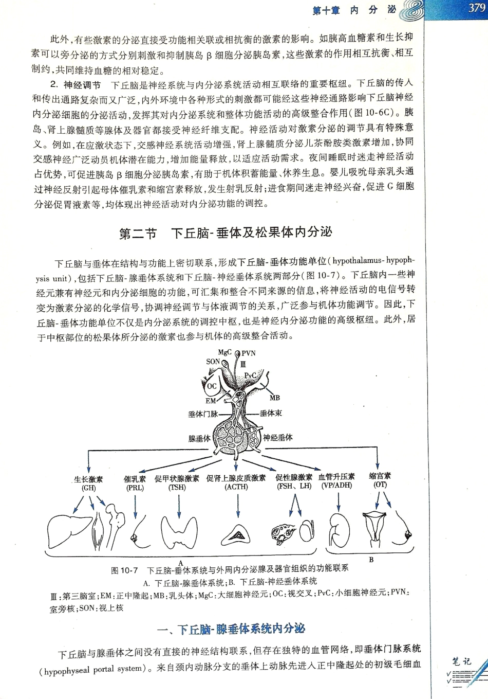 生理学（第八版）_385-392.pdf_第3页