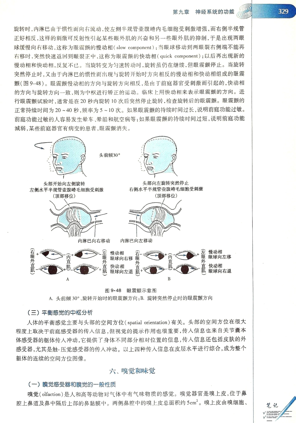 生理学（第八版）_337-344.pdf_第1页