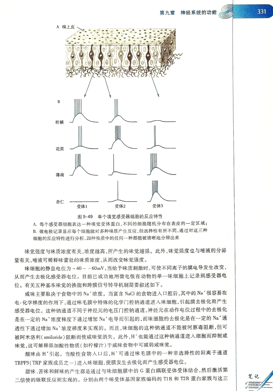 生理学（第八版）_337-344.pdf_第3页