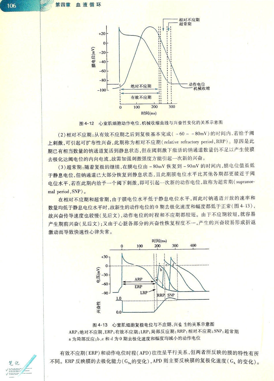 生理学（第八版）_113-120.pdf_第2页