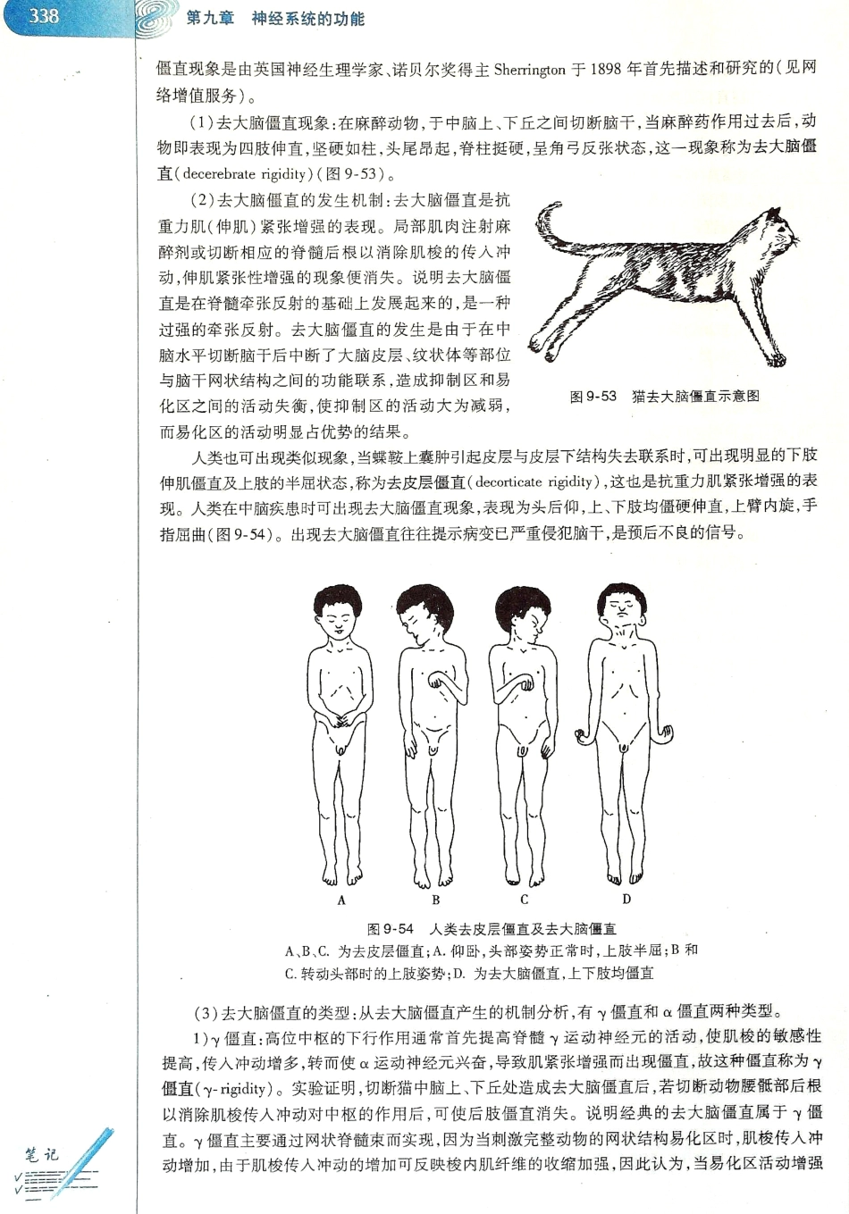 生理学（第八版）_345-352.pdf_第2页