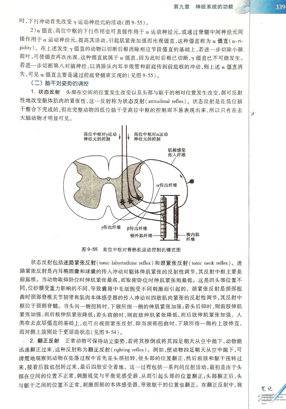 生理学（第八版）_345-352.pdf_第3页