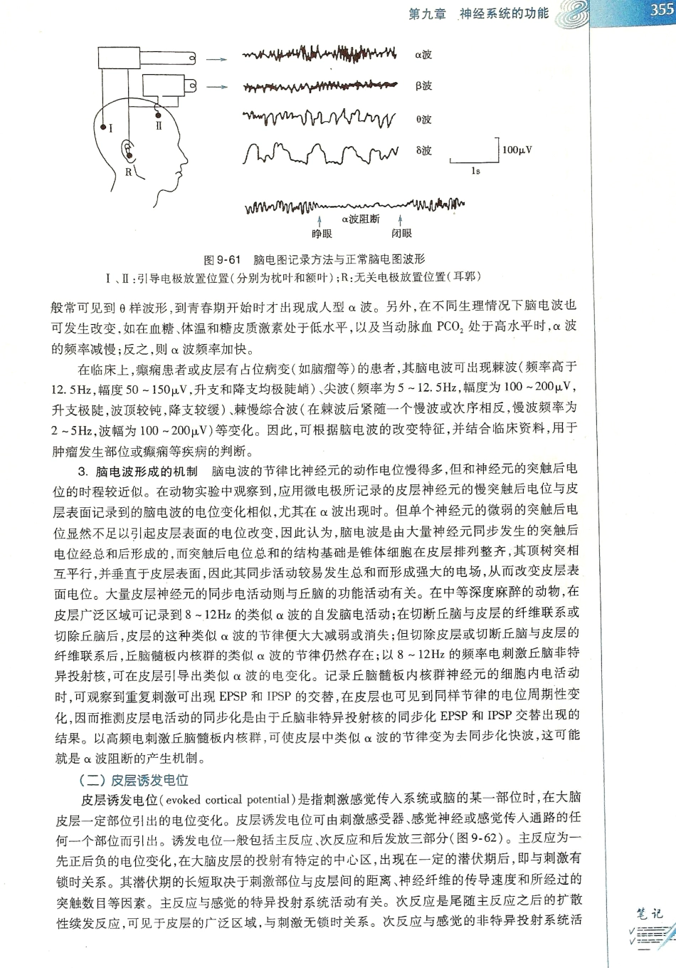 生理学（第八版）_361-368.pdf_第3页