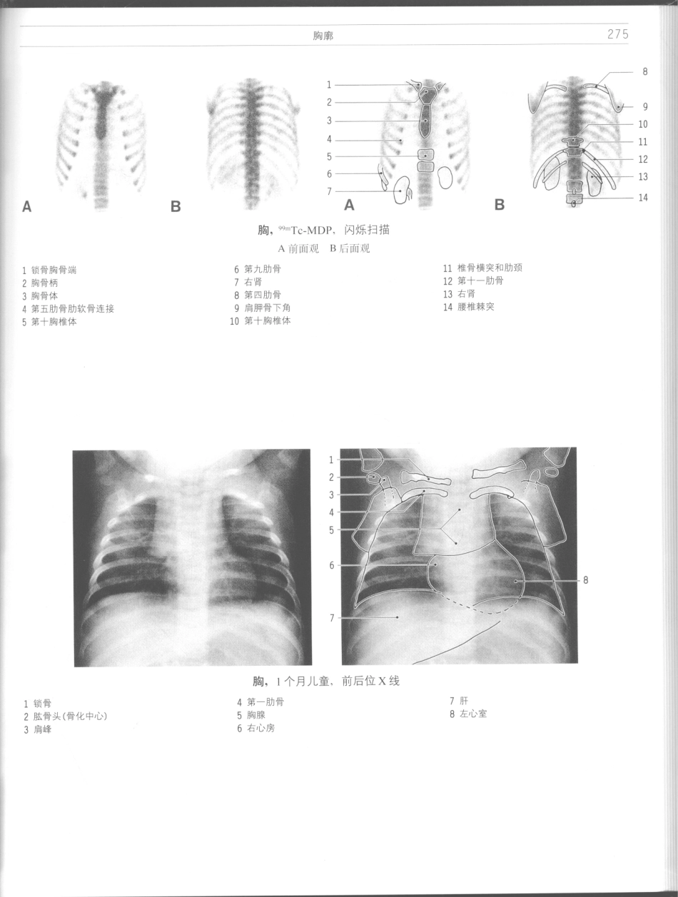 影像解剖学_11724881_277-288.pdf_第1页