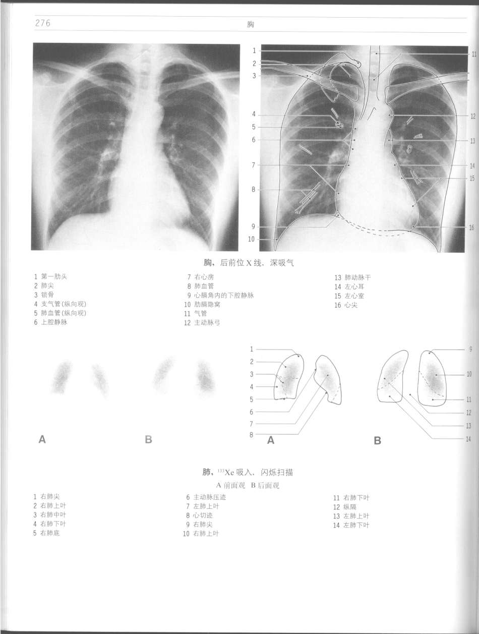 影像解剖学_11724881_277-288.pdf_第2页