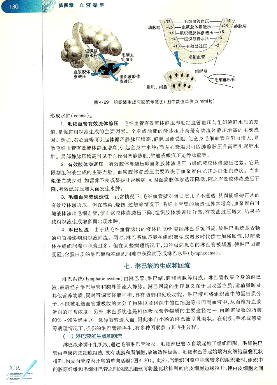 生理学（第八版）_137-144.pdf_第2页