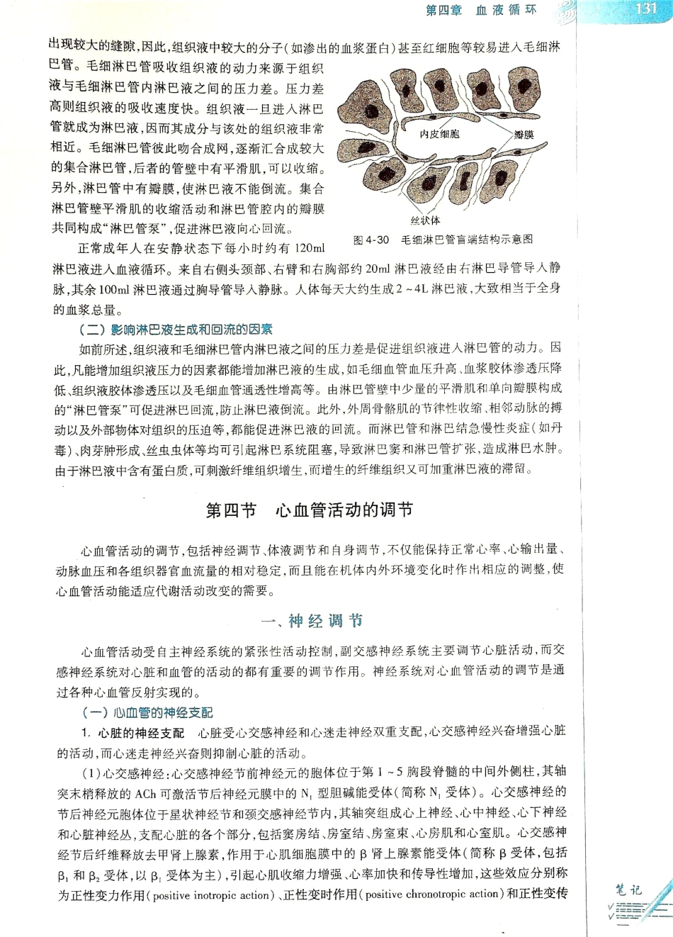 生理学（第八版）_137-144.pdf_第3页