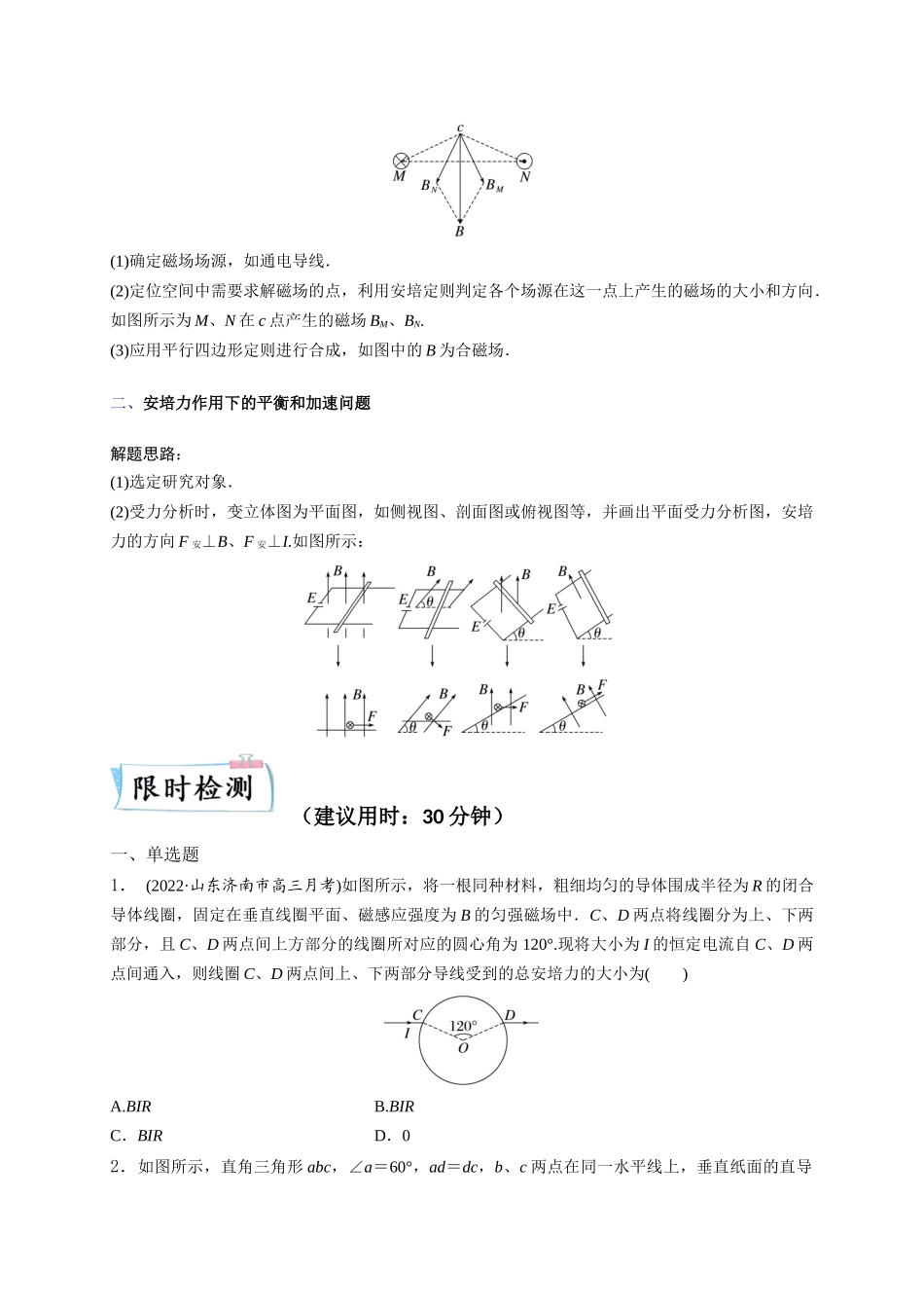 2023年高考物理热点重点难点专练（全国通用）-重难点10 磁场（原卷版）.docx_第2页