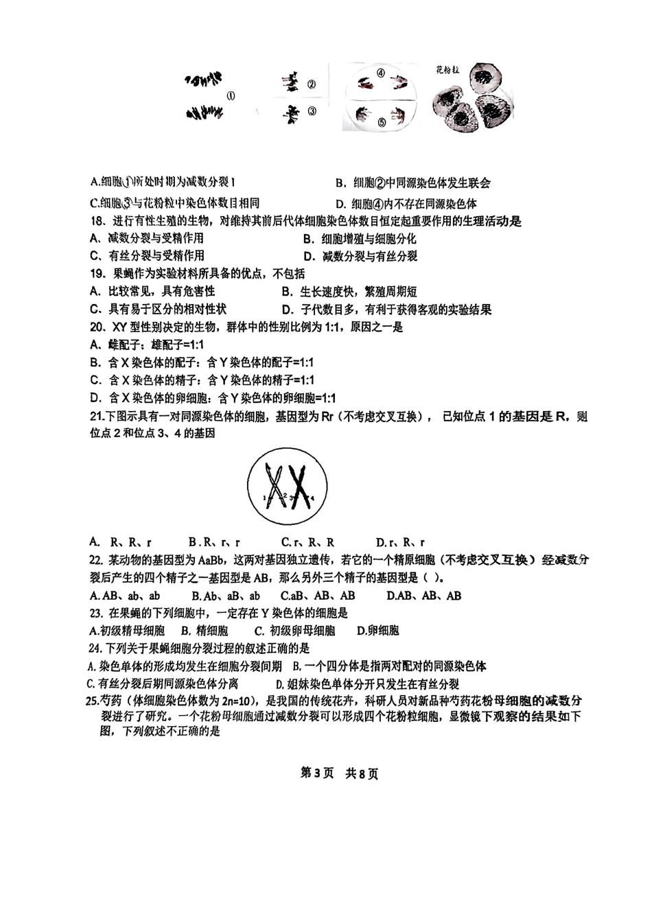 北京市第五十五中学2024-2025学年高一下学期3月月考生物试卷（含答案）.pdf_第3页