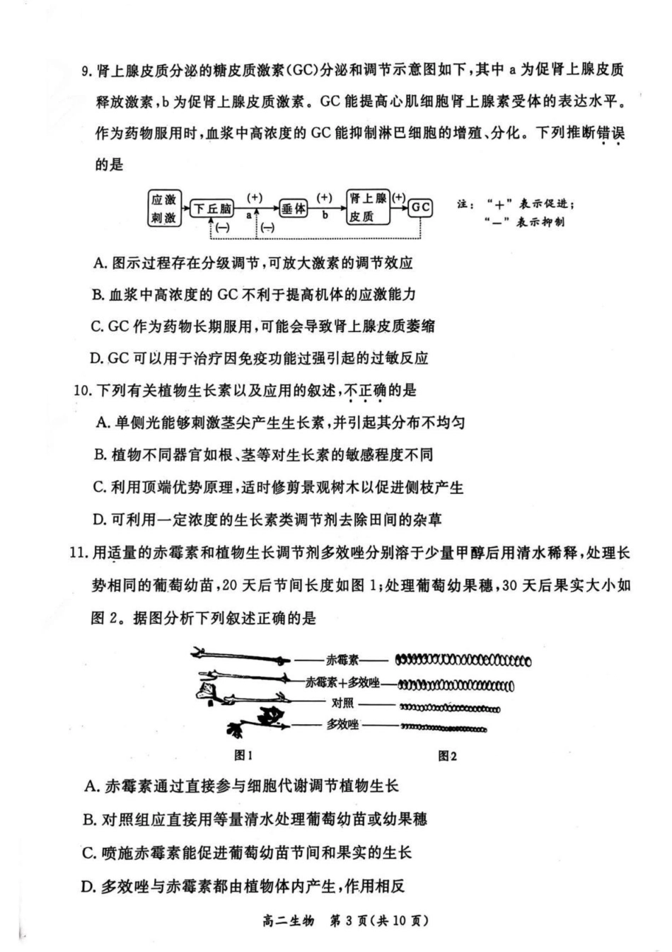 北京市东城区2024-2025学年高二上学期期末考试生物含答案.pdf_第3页