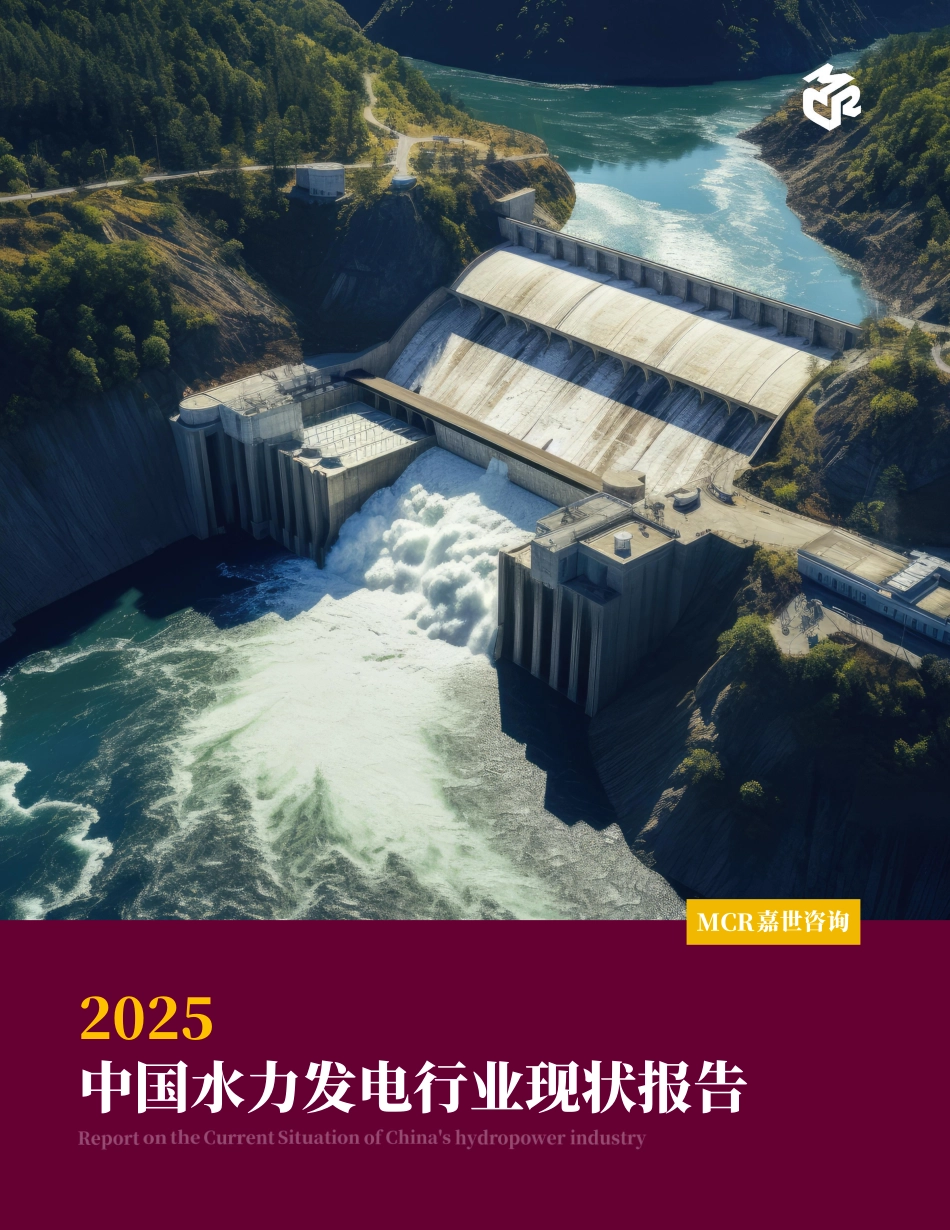 2025年中国水力发电行业现状报告.pdf_第1页