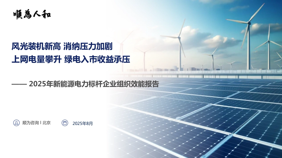 新能源电力行业效能报告.pdf_第1页