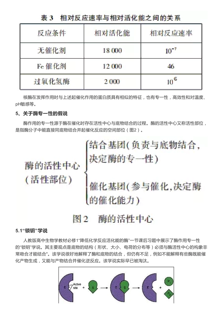 【高中生物】各种酶的考点归纳（最全整理）.pdf_第3页