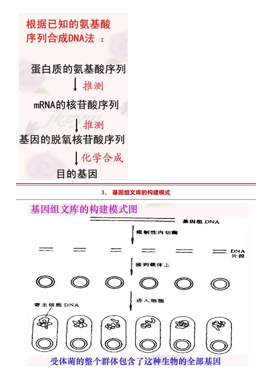 【高中生物】基因工程中9个重要知识的图解，建议收藏掌握~.pdf_第2页
