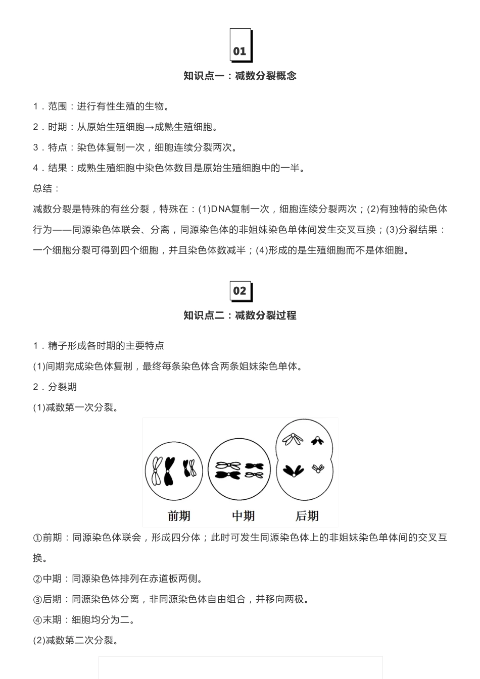 【高中生物】细胞的生命历程、 减数分裂和受精作用.pdf_第1页
