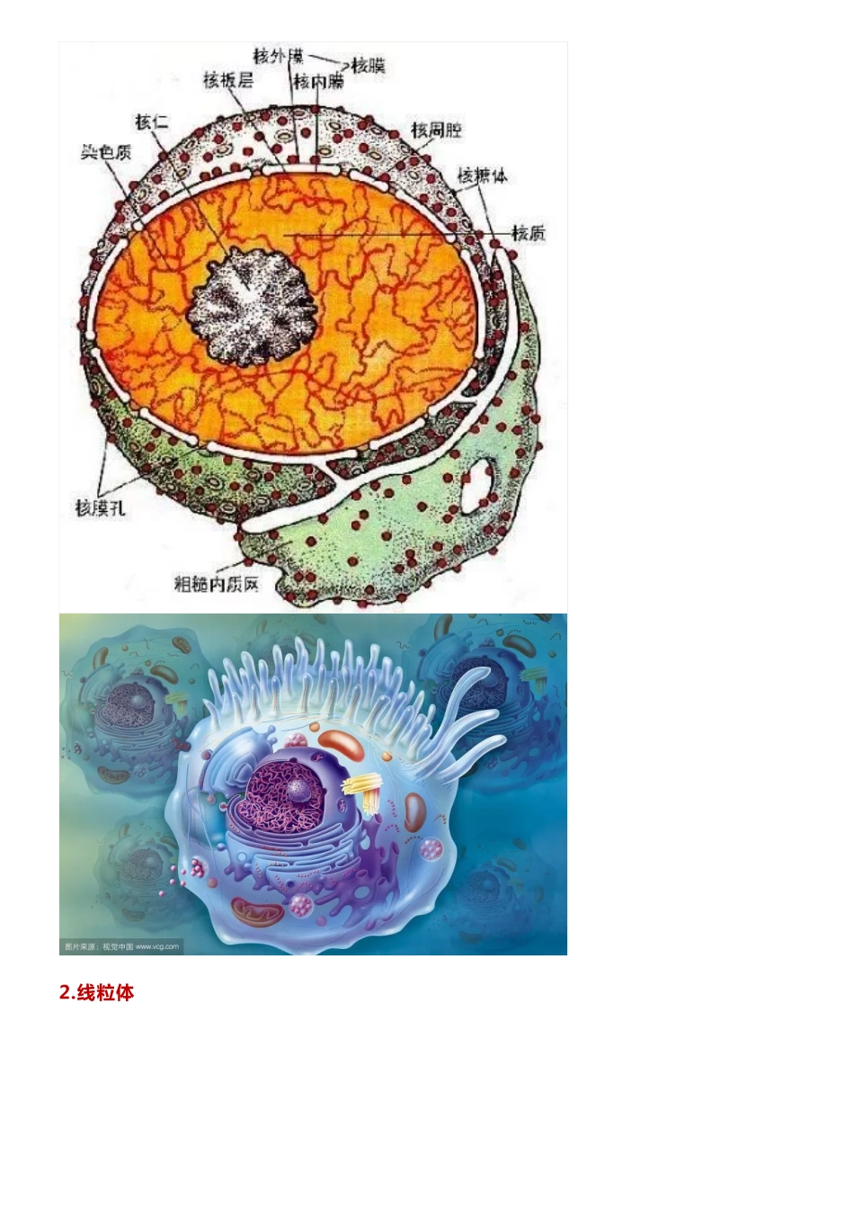 【高中生物】细胞器高清知识图谱，蕴含高频考点，快收藏！.pdf_第2页