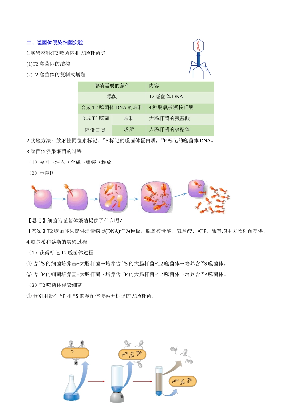 2024年高中生物学业水平考试必备考点归纳与测试（新教材专用）-专题03 基因的本质 （知识梳理）.docx_第3页