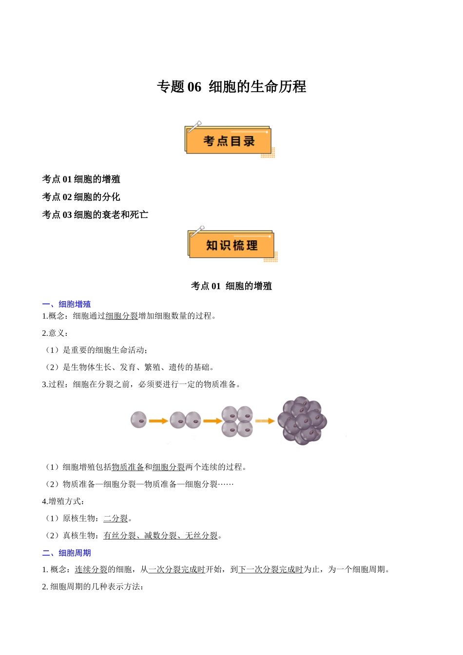 2024年高中生物学业水平考试必备考点归纳与测试（新教材专用）-专题06 细胞的生命历程（知识梳理）.docx_第1页