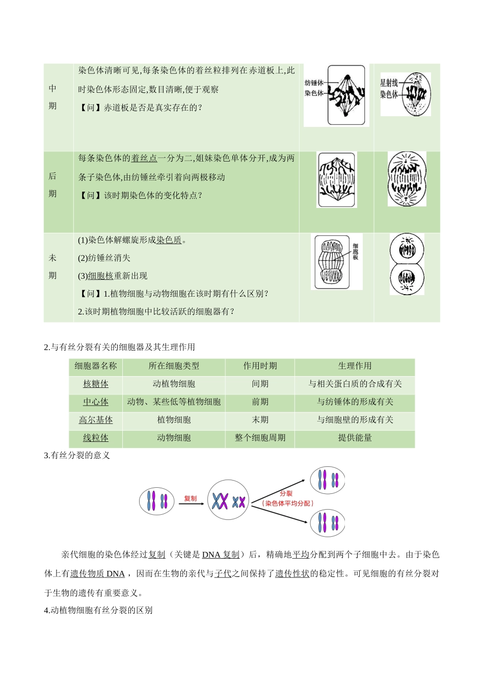 2024年高中生物学业水平考试必备考点归纳与测试（新教材专用）-专题06 细胞的生命历程（知识梳理）.docx_第3页