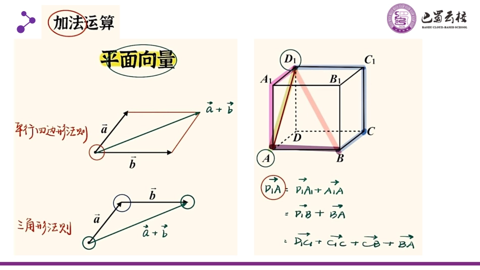 2025届巴蜀数学高二-1.1-1.3  空间向量及运算教师版.pdf_第3页
