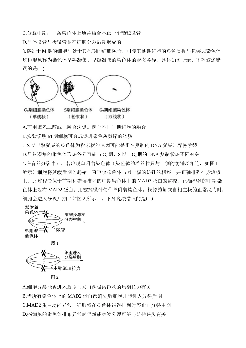 2025届高考生物学模块分练【新高考版】-专题4 细胞的生命历程（选择题）（含解析）.docx_第2页