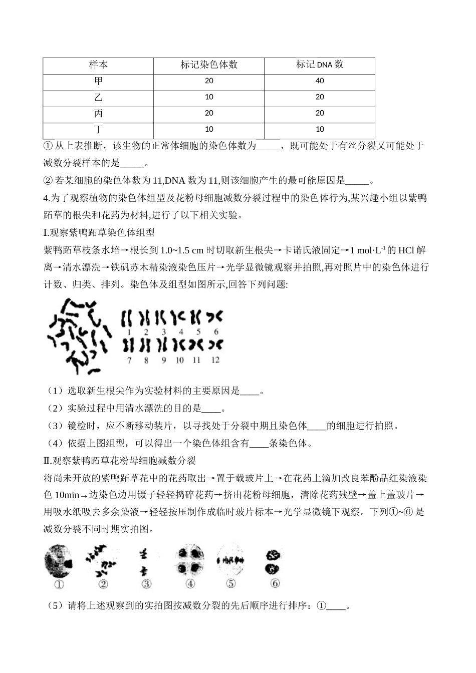2025届高考生物学模块分练【新高考版】-专题5 遗传的细胞学基础（非选择题）（含解析）.docx_第3页
