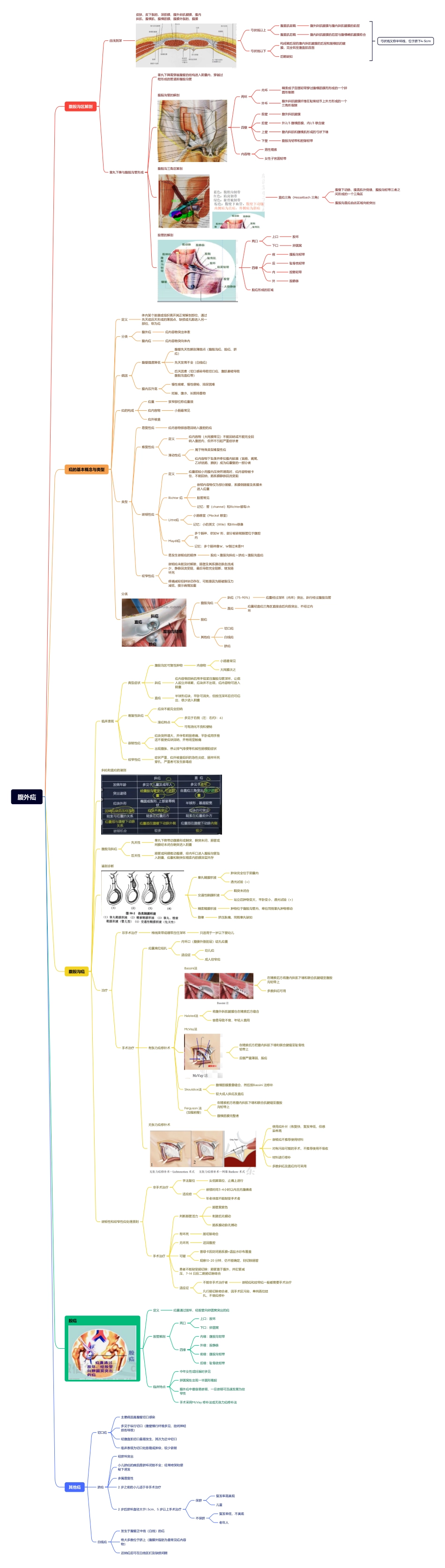医学科目：1.腹外疝.pdf_第1页
