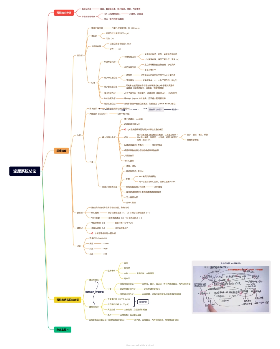 医学科目：1.泌尿系统总论.pdf_第1页