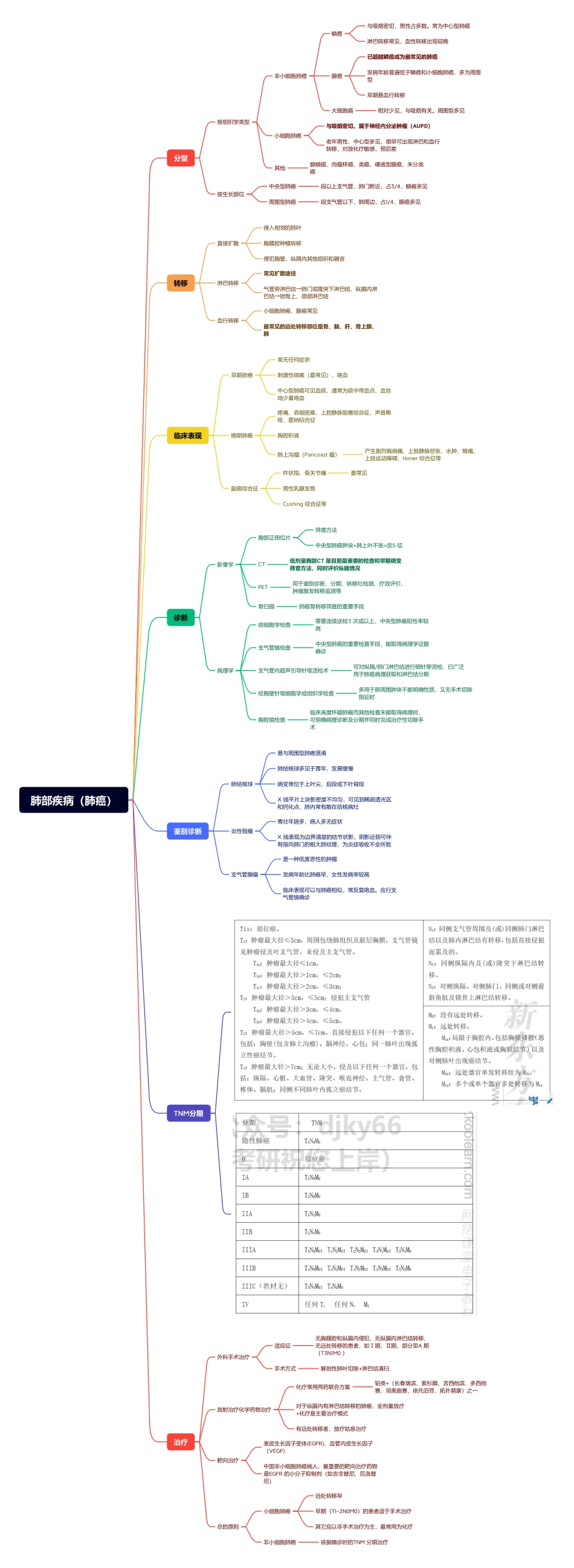 医学科目：2.肺部疾病（肺癌）.pdf_第1页