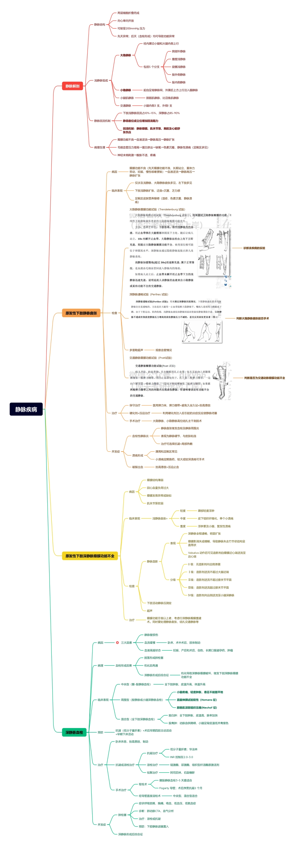医学科目：2.静脉疾病.pdf_第1页