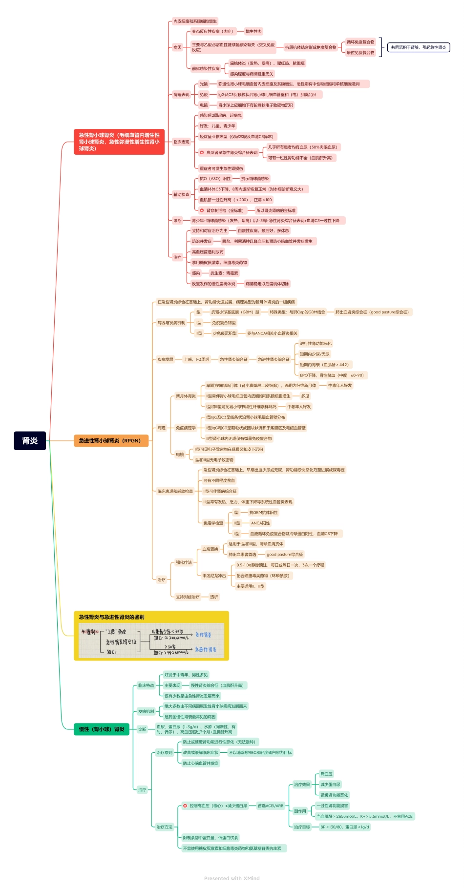 医学科目：2.肾炎.pdf_第1页
