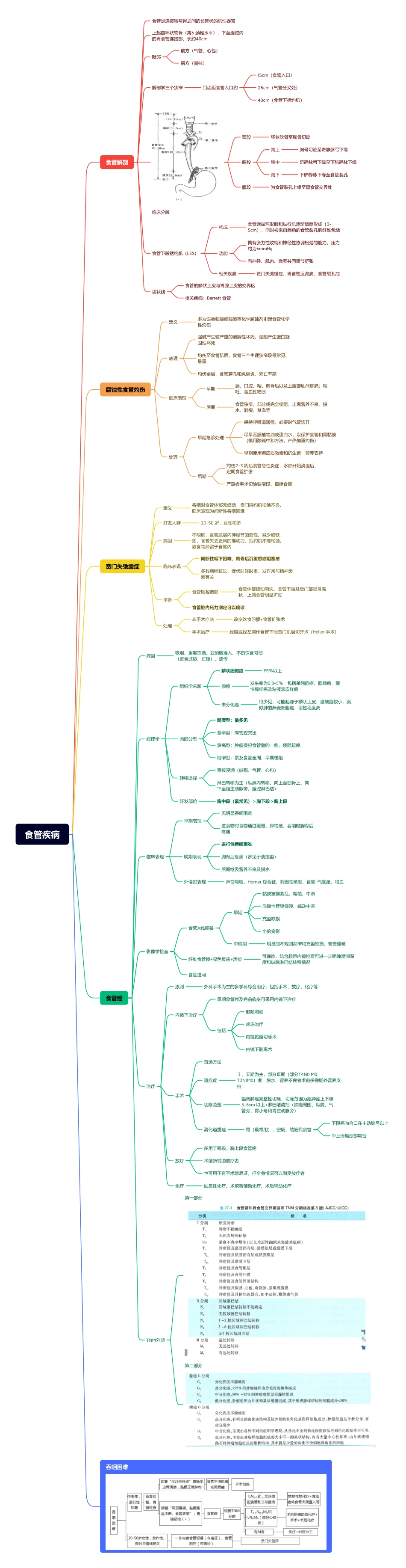 医学科目：3.食管疾病.pdf_第1页