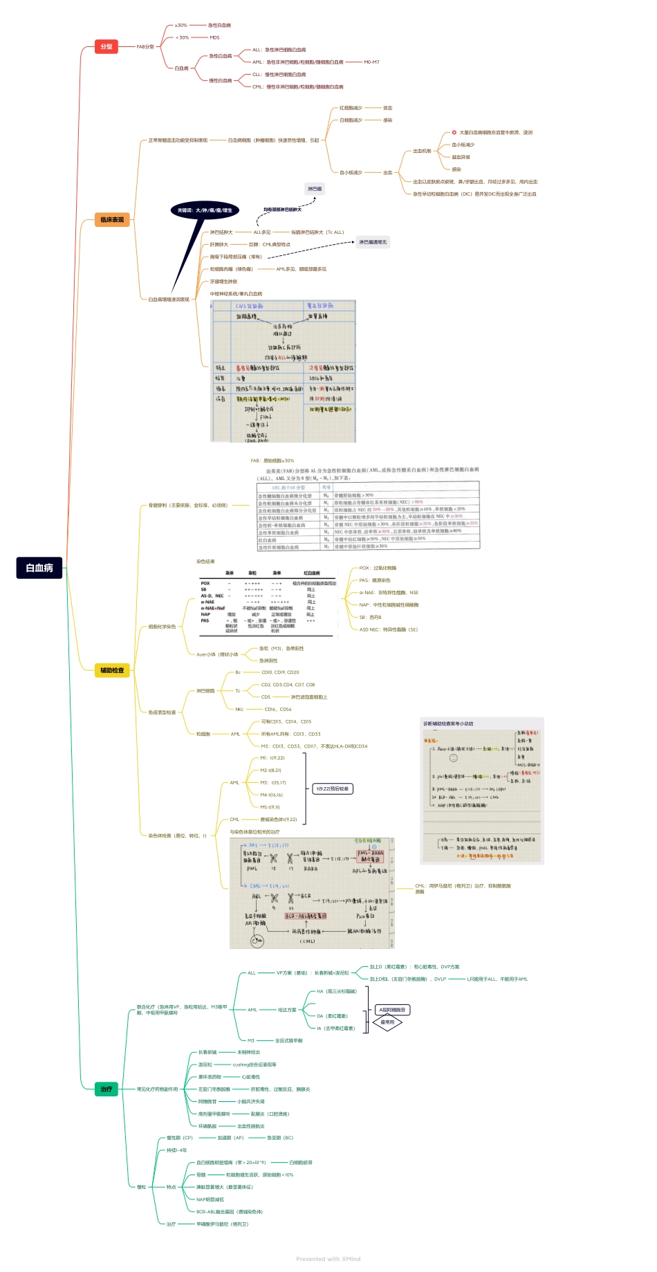医学科目：4.白血病.pdf_第1页