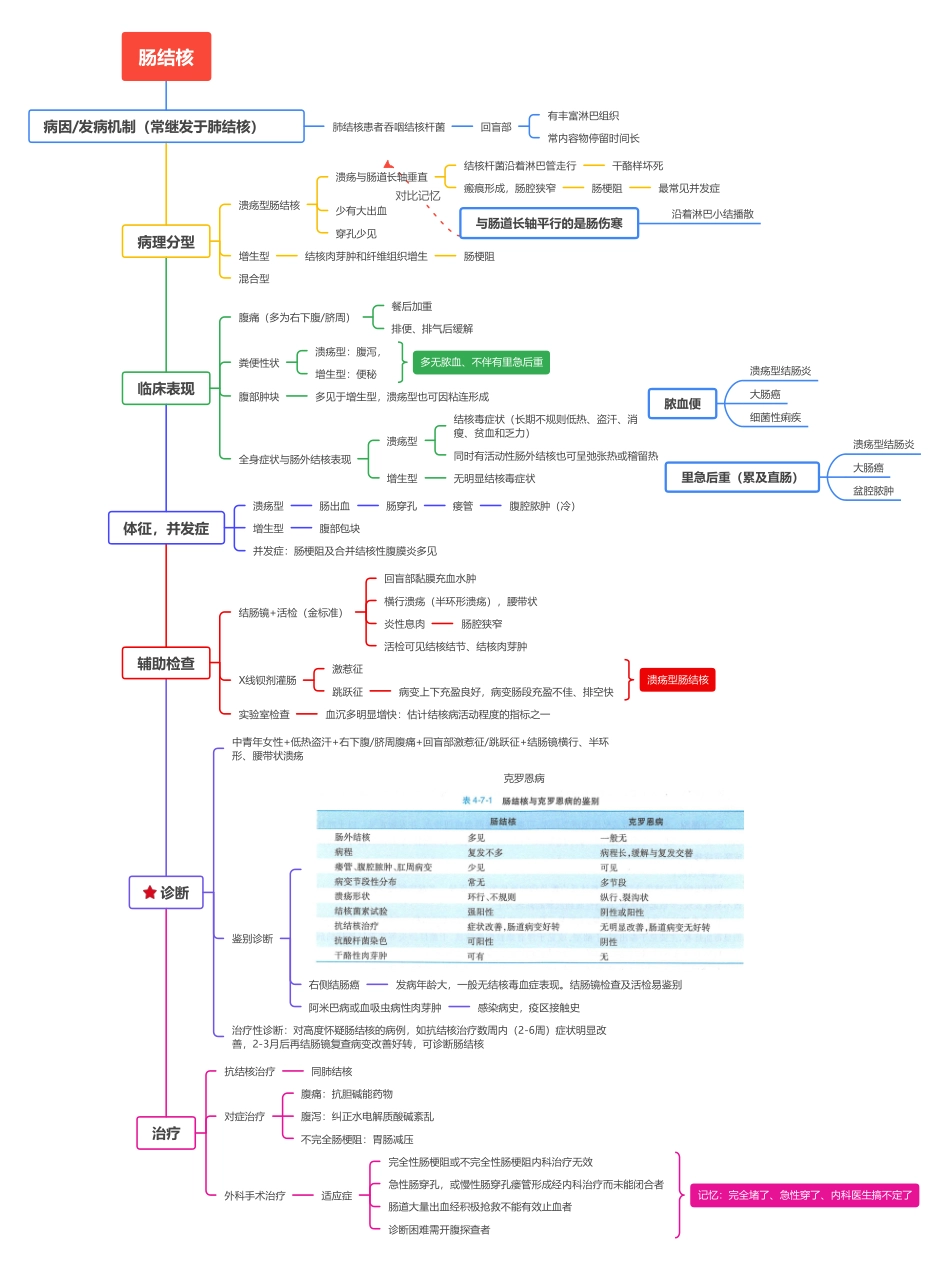 医学科目：4.肠结核.pdf_第1页