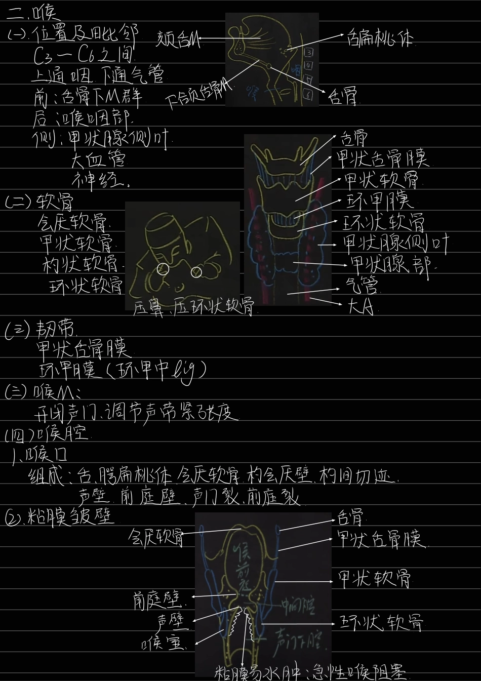 医学科目：4.呼吸系统.pdf_第2页
