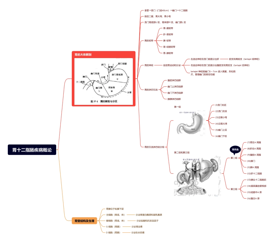 医学科目：4.胃十二指肠疾病概论.pdf_第1页