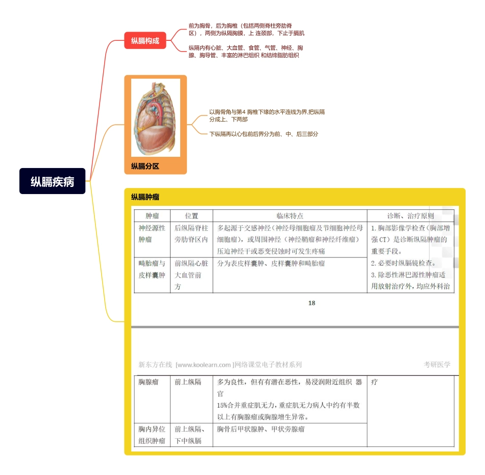 医学科目：4.纵膈疾病.pdf_第1页
