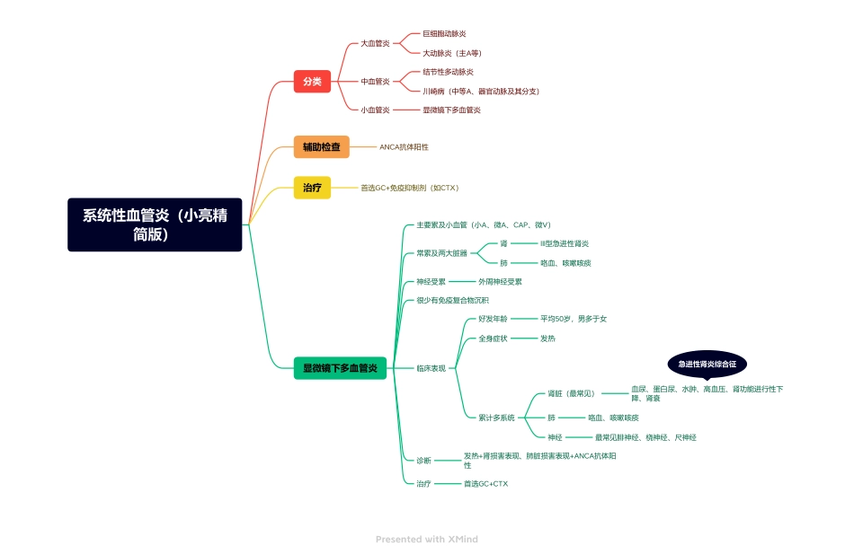 医学科目：5.系统性血管炎（小亮精简版）.pdf_第1页