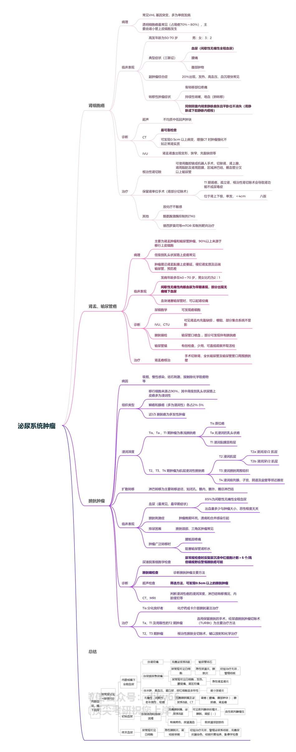 医学科目：6.泌尿系统肿瘤.pdf_第1页