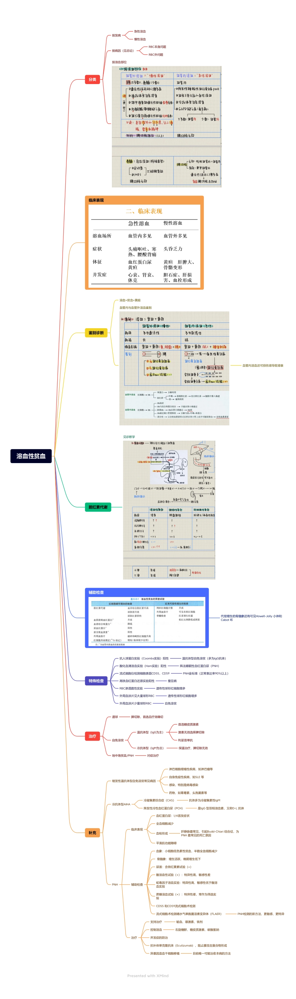 医学科目：6.溶血性贫血.pdf_第1页